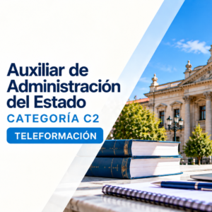 Auxiliar del Estado
